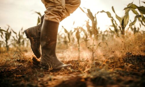 Ganaderos y agricultores leoneses en el campo