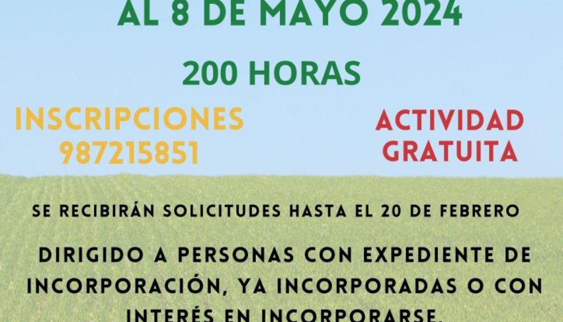 CIEA 2024 redes web