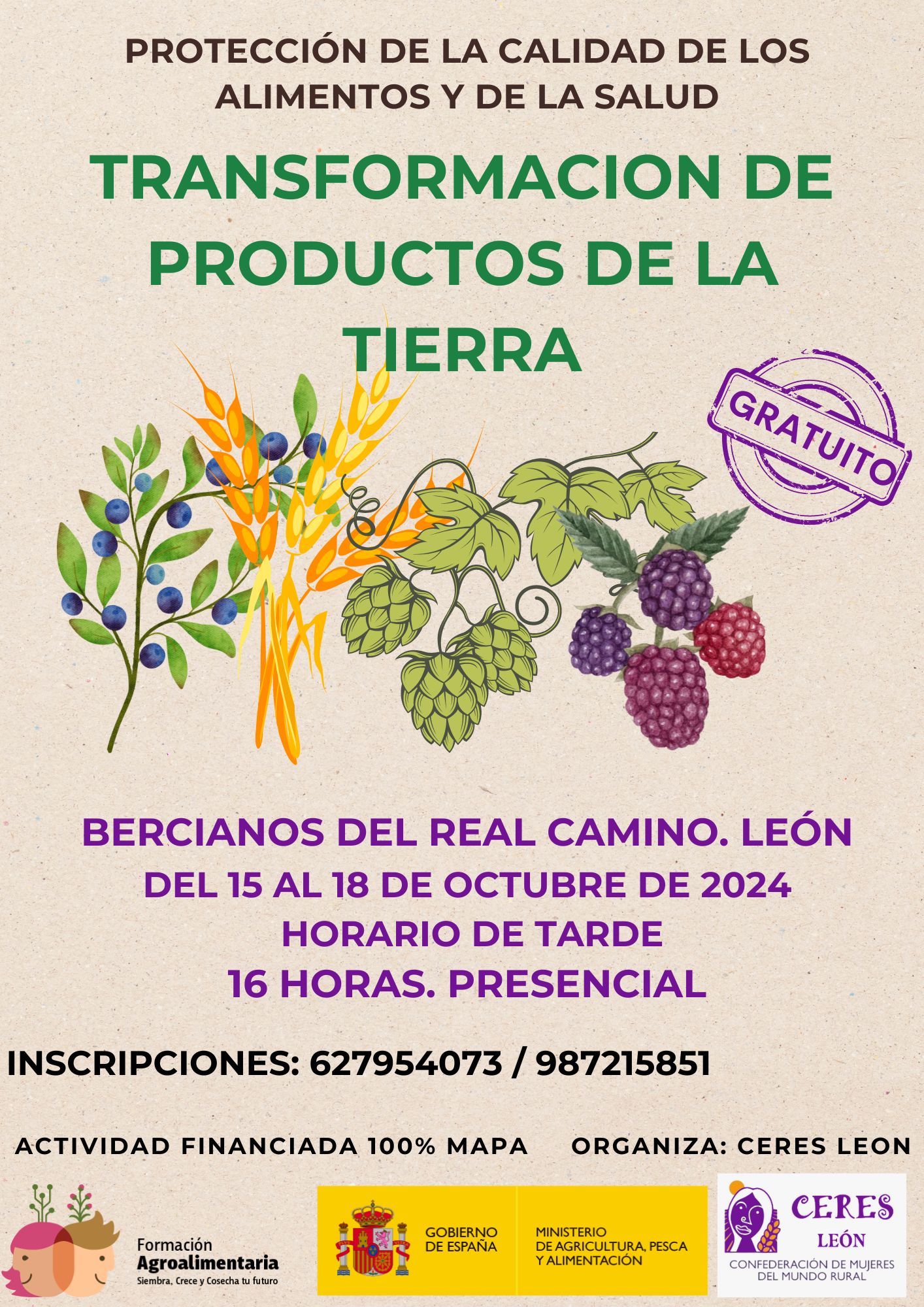 CARTEL BERCIANOS DEL REAL CAMINO
