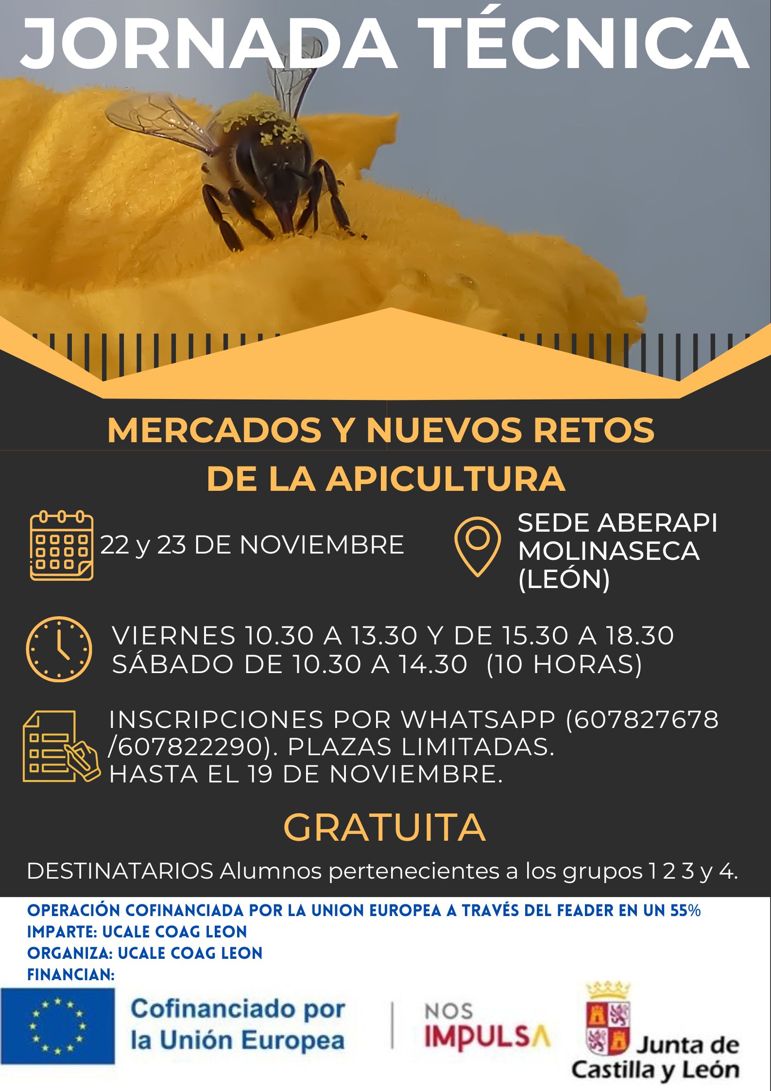 MERCADOS Y NUEVOS RETOS DE LA APICULTURA_20241028_173059_0000.pdf