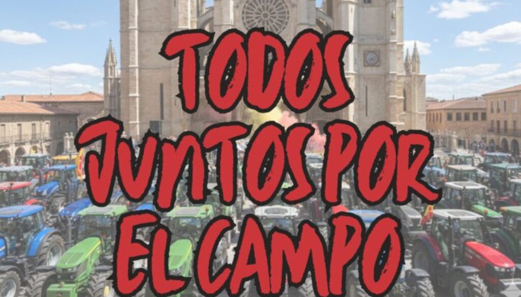 CARTEL WEB