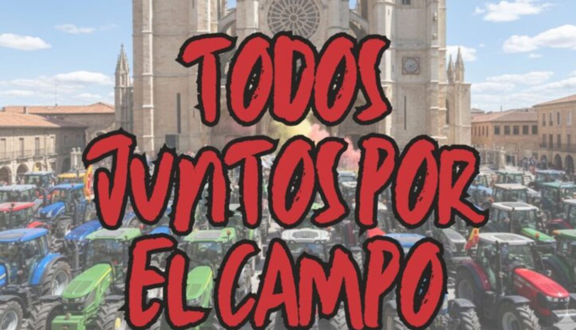 CARTEL WEB