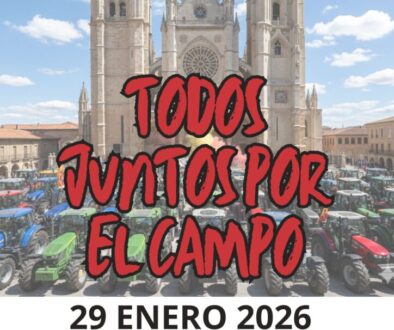 CARTEL WEB