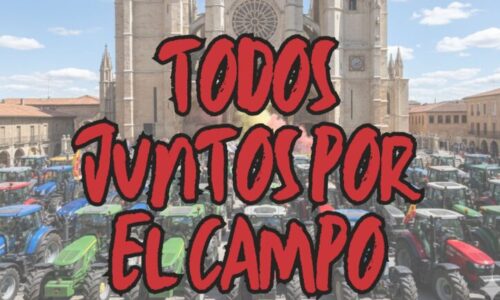 CARTEL WEB
