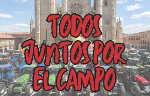 CARTEL WEB