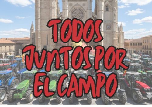 CARTEL WEB
