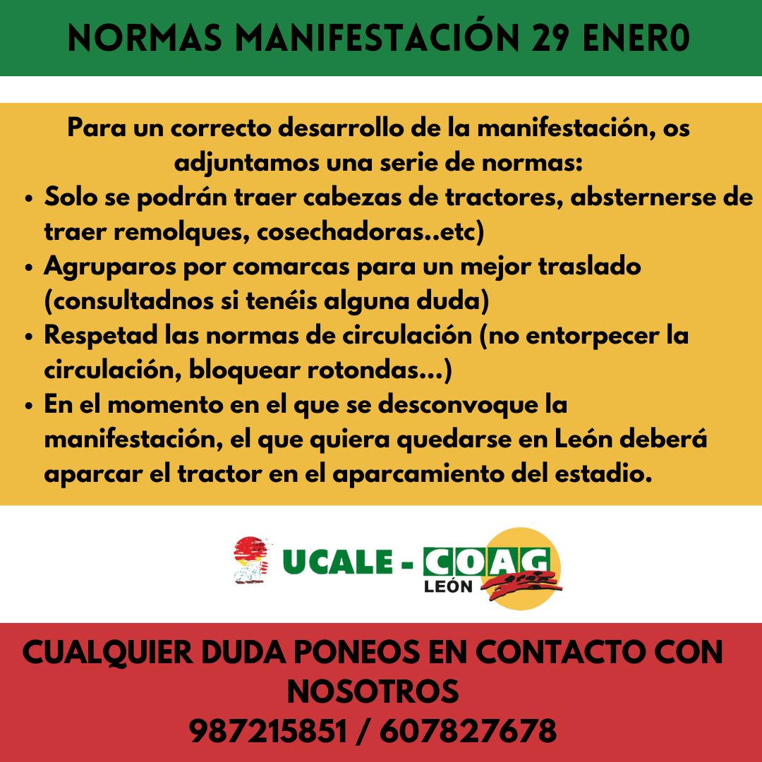 NORMAS MANIFESTACION 29E