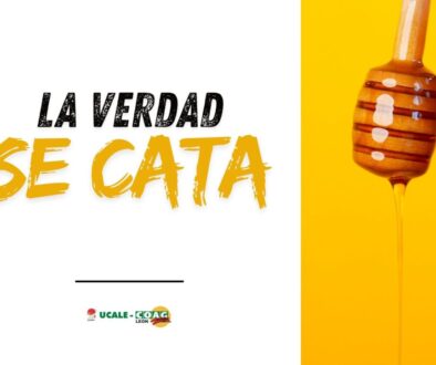A4 HORIZONTAL CARTELES