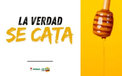 A4 HORIZONTAL CARTELES