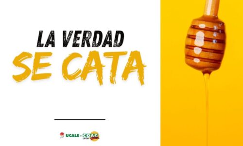 A4 HORIZONTAL CARTELES