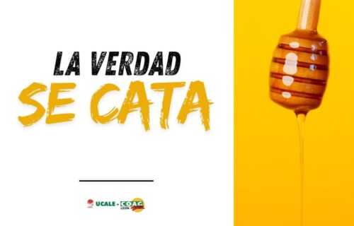A4 HORIZONTAL CARTELES