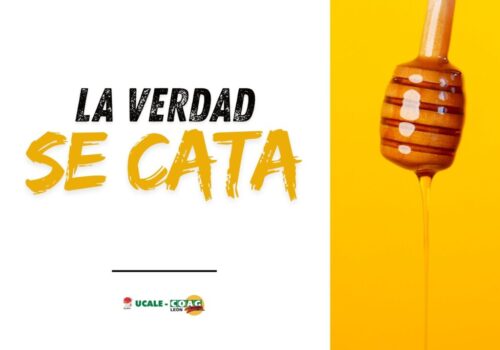 A4 HORIZONTAL CARTELES