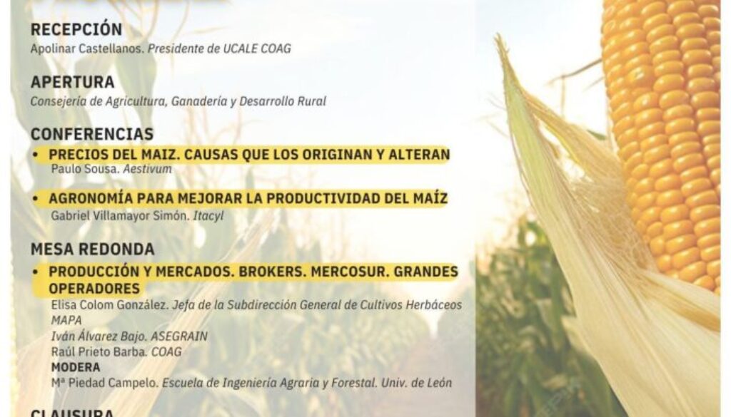 JORNADA MAIZ