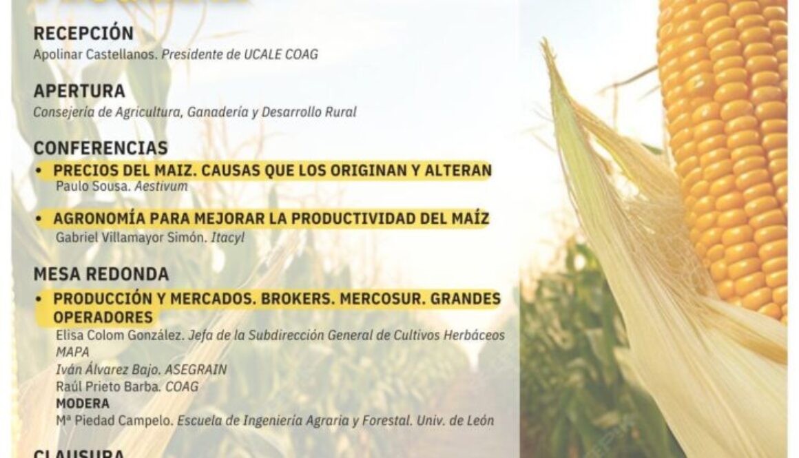 JORNADA MAIZ