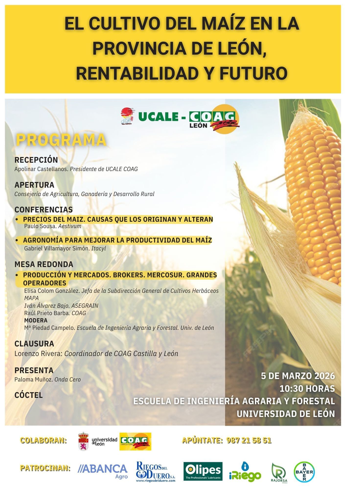 JORNADA MAIZ
