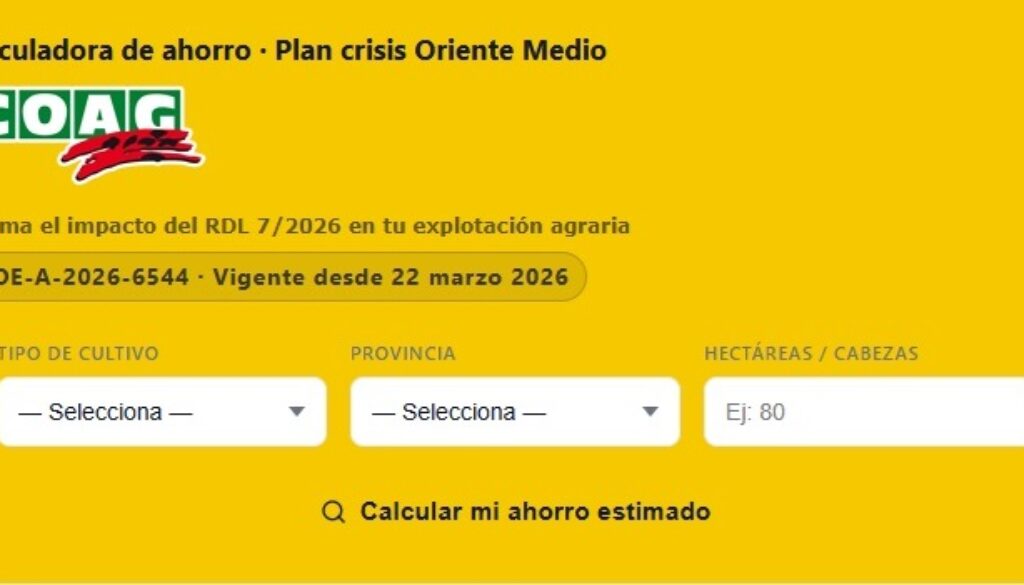 CALCULADORA ORIENTE MEDIO