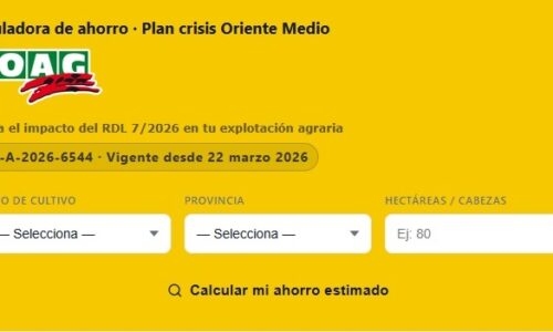 CALCULADORA ORIENTE MEDIO