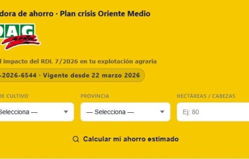 CALCULADORA ORIENTE MEDIO