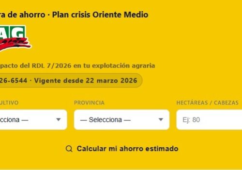 CALCULADORA ORIENTE MEDIO
