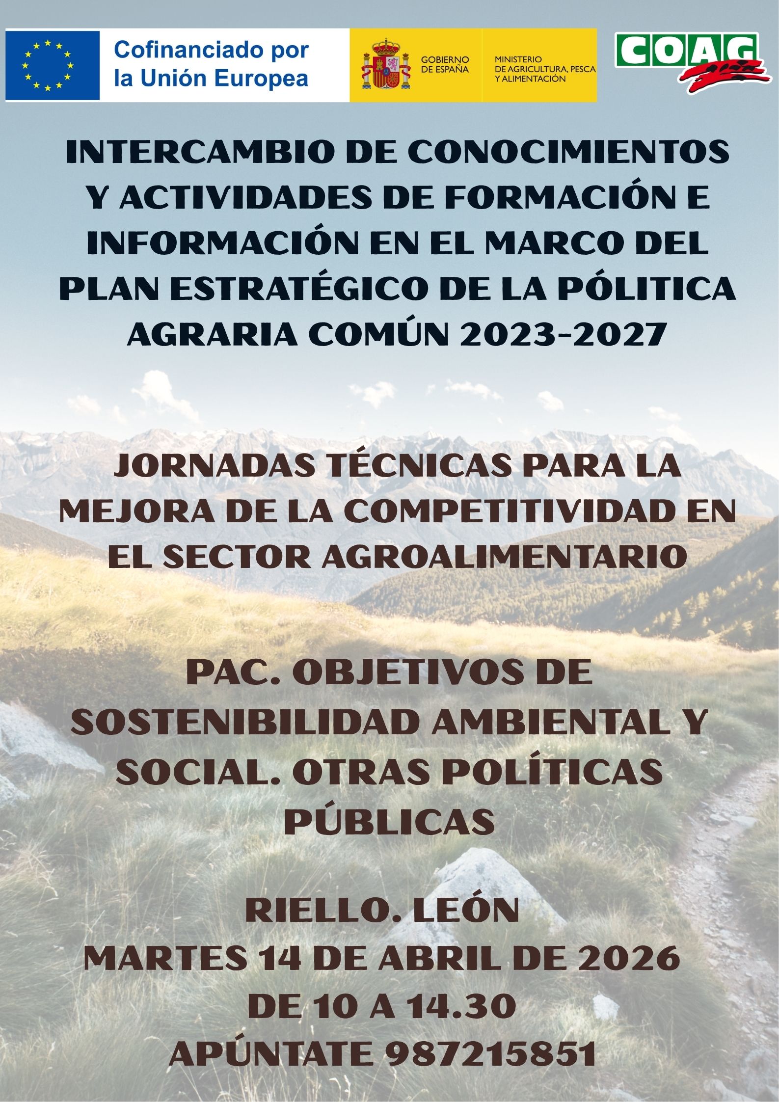 CARTEL JORNADA RIELLO