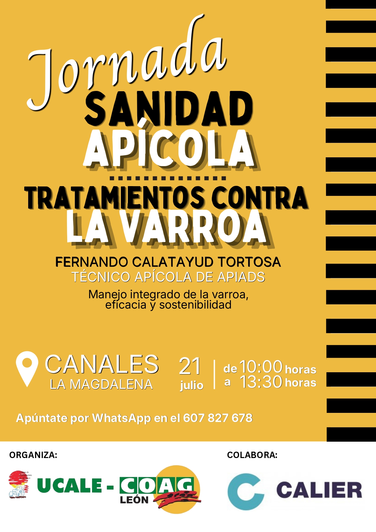 JORNADA APÍCOLA JULIO 2026